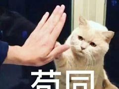 -颐和•海鲜砂锅粥•啫啫煲(奥林匹克广场店)