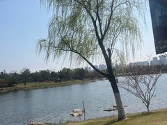 -武汉园博园(武汉自然博物馆)