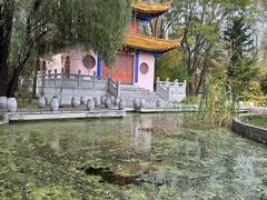 -沈阳植物园