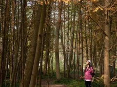 -桤木河湿地公园