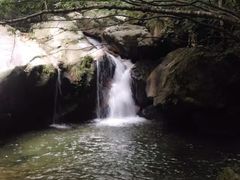 大明山-大明山自然探索公园