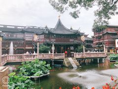 -豫园湖心亭茶楼