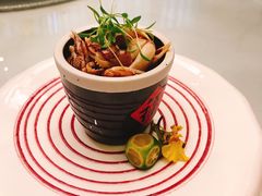 -凤栖酒店