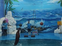 -左海海底世界