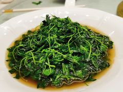 -同济大酒店(绿宝广场店)