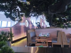 -马家斑.鲜鱼火锅(松湖万科店)