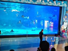 -烟台海昌鲸鲨海洋公园