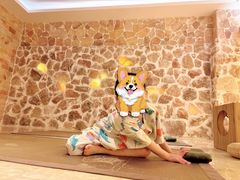 -神帆·元气汤泉(解放西路店)