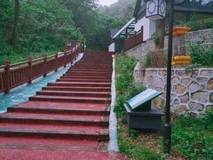 -董寨国家级自然保护区白云保护站