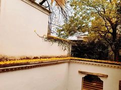 -杭州植物园