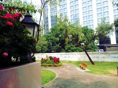 -九龙公园