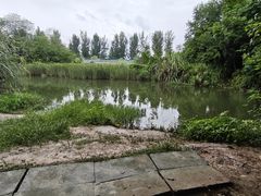 -白鹭湾湿地公园