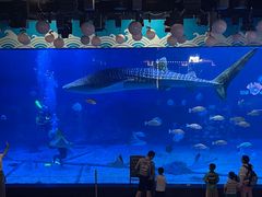 -烟台海昌鲸鲨海洋公园