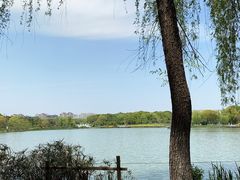 -昆山城市生态森林公园