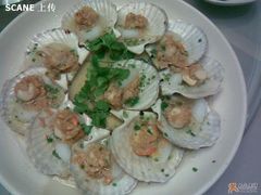 扇贝-苏先生海鲜渔庄(金桥店)