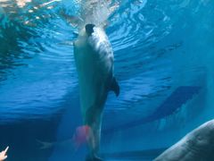 -波塞冬旅游度假区