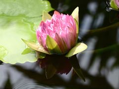 -国家植物园南园