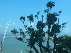 -希尔顿南海酒店·观廊大堂吧·海景下午茶