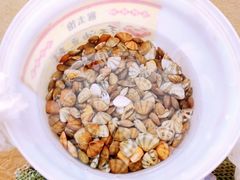 -青岛银沙滩