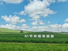 -丰宁坝上草原