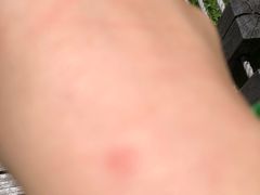 -苏州香山国际大酒店