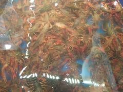 -盒马鲜生(观音桥店)