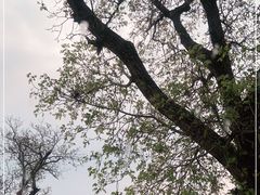 -龙门涧景区