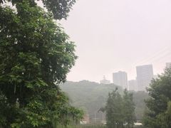-重庆彩云湖湿地公园