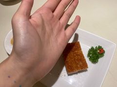 冰烧三层肉-利苑酒家(华熙国际店)