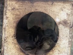 -上海大自然野生昆虫馆(东方明珠·爬宠昆虫探索中心)