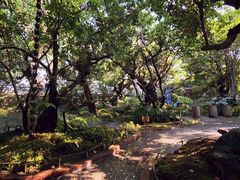 -Chom Cafe and Restaurant