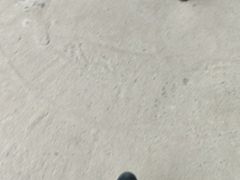 -韩湘水博园