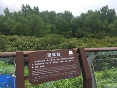 -大亚湾红树林城市湿地公园