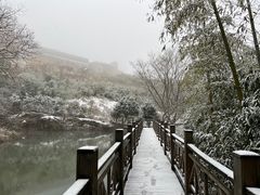 -江南天池