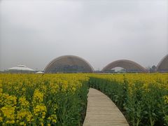 -中国天府农业博览园