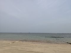 -东郊椰林