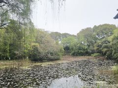 -金鸡湖桃花岛