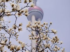 -东方明珠广播电视塔