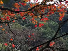 -广州市石门国家森林公园