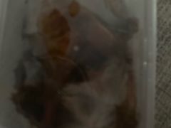 -狗撵鸭(泰山公寓店)