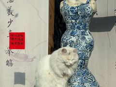 -VOYAGE COFFEE(杨梅竹店)