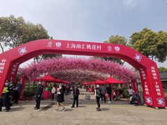 -南汇桃花村