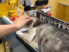 -谜盒子奇幻密室(南屏店)