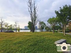 -光明港公园