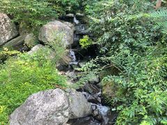 -藏龙百瀑风景区