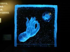 展品-上海琉璃艺术博物馆
