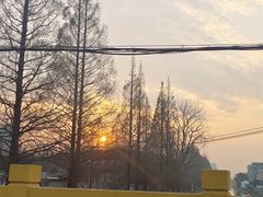 -HONGA HONGA雄家(曹路店)