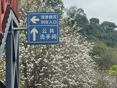 -小南山公园