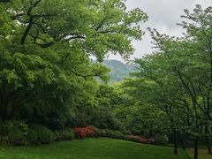 -中国茶叶博物馆(双峰馆区)