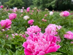 -长春公园(普阳街道)